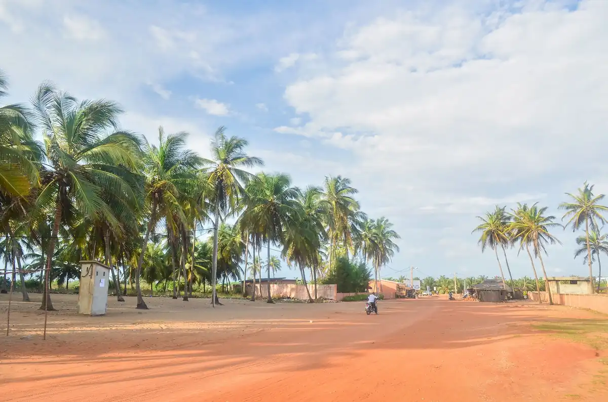 Red earth street lined with coconut palms in Ouidah, a motorcyclist in the distance