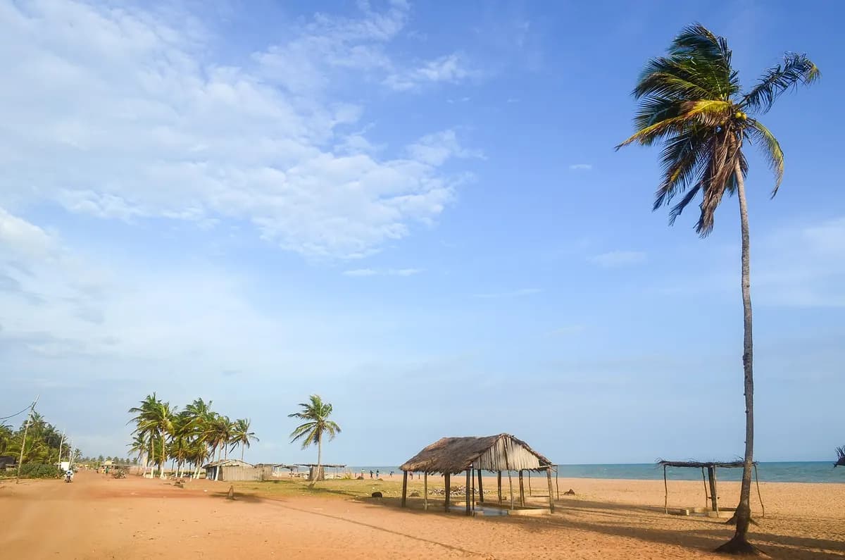 The beach of Ouidah, on the Atlantic coast of Benin