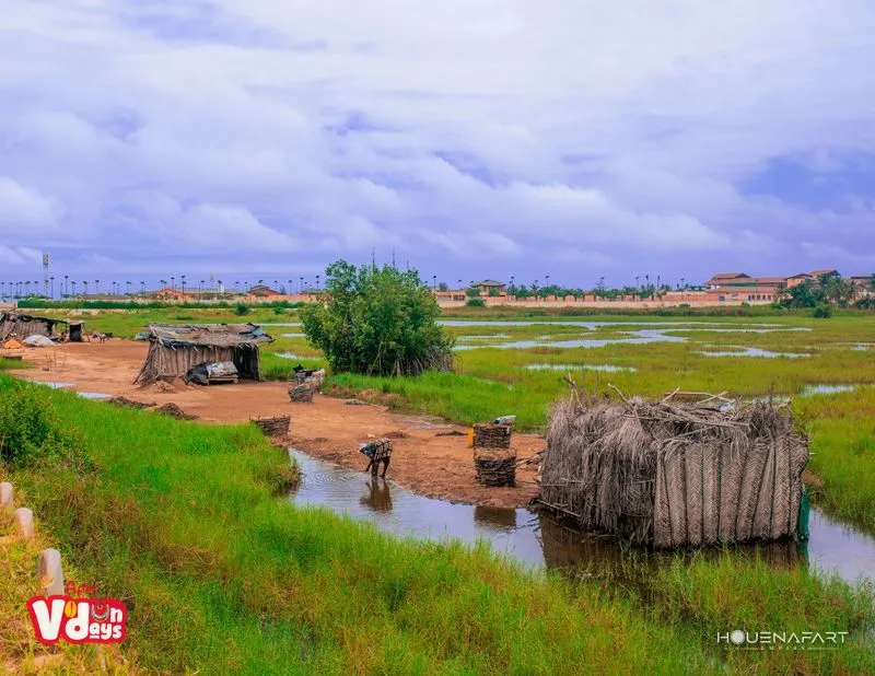 Djègbadji, Ouidah, Benin (view 2)