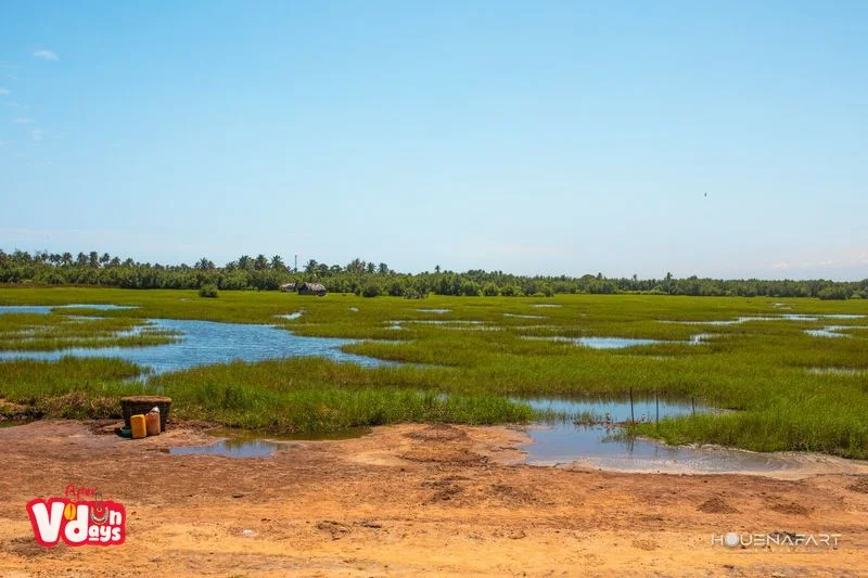 Djègbadji, Ouidah, Benin (view 4)