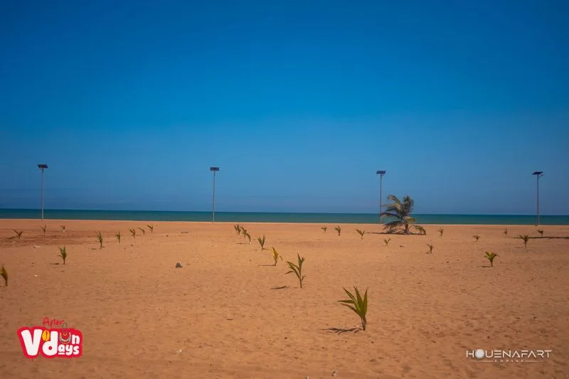 Ouidah Beach, Benin (view 4)