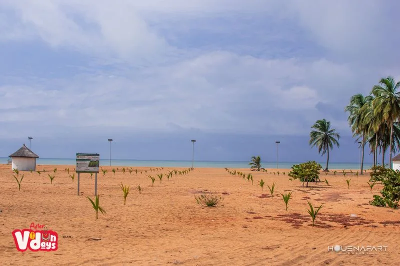 Young trees planted in the sand facing the ocean, Door of No Return site, Ouidah, Benin
