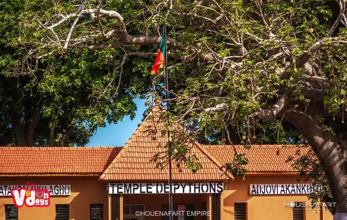 Python Temple : sacred pythons of Vodun, Ouidah, Benin
