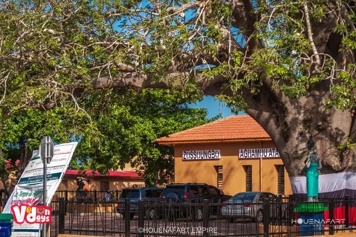 Python Temple : sacred pythons of Vodun, Ouidah, Benin (view 2)